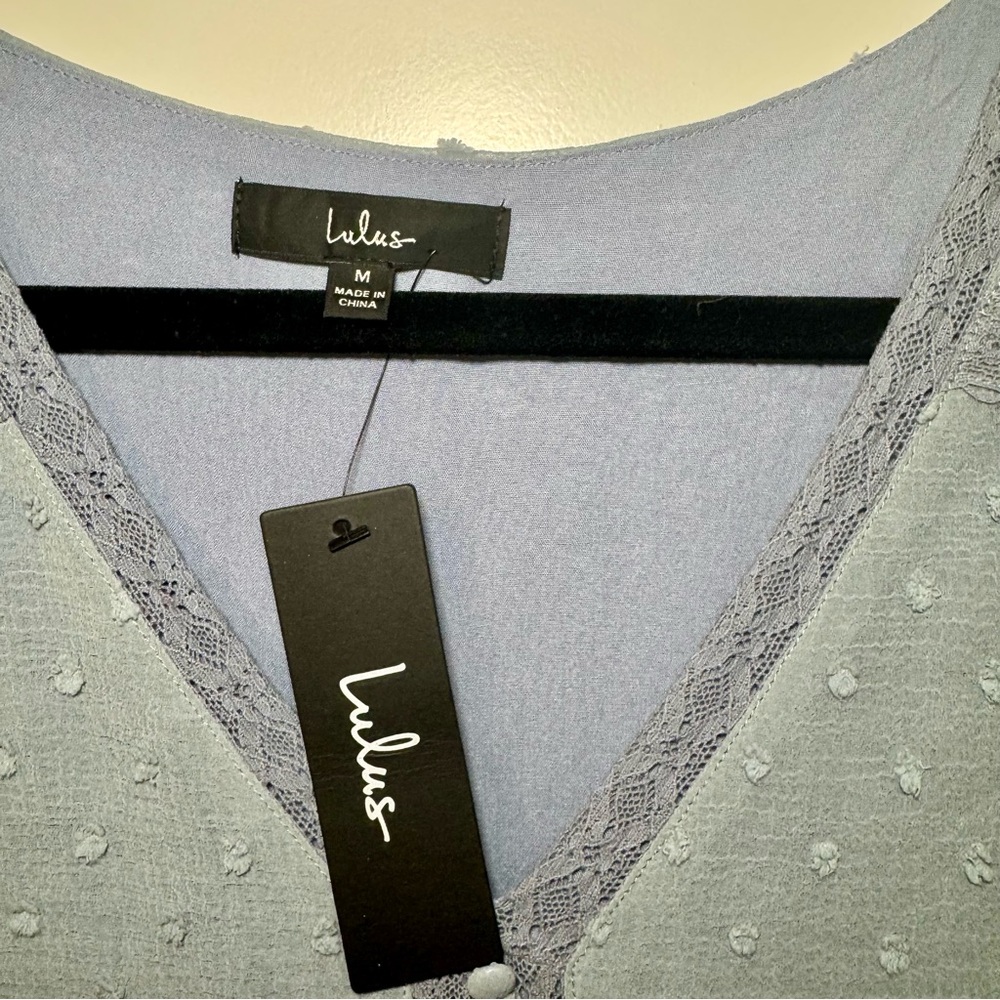 NWT Lulus Dusty Blue Swiss Dot Sheer Long Sleeve Pleated Mini Dress, Sz M - Picture 4 of 10